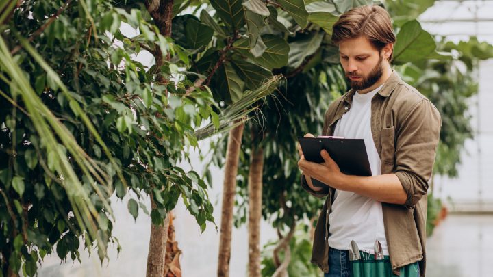 Portfel z sumieniem: Jak fundusze ESG łączą etykę z realnym zyskiem
